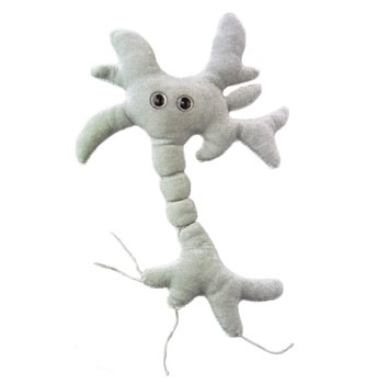 plush neuron